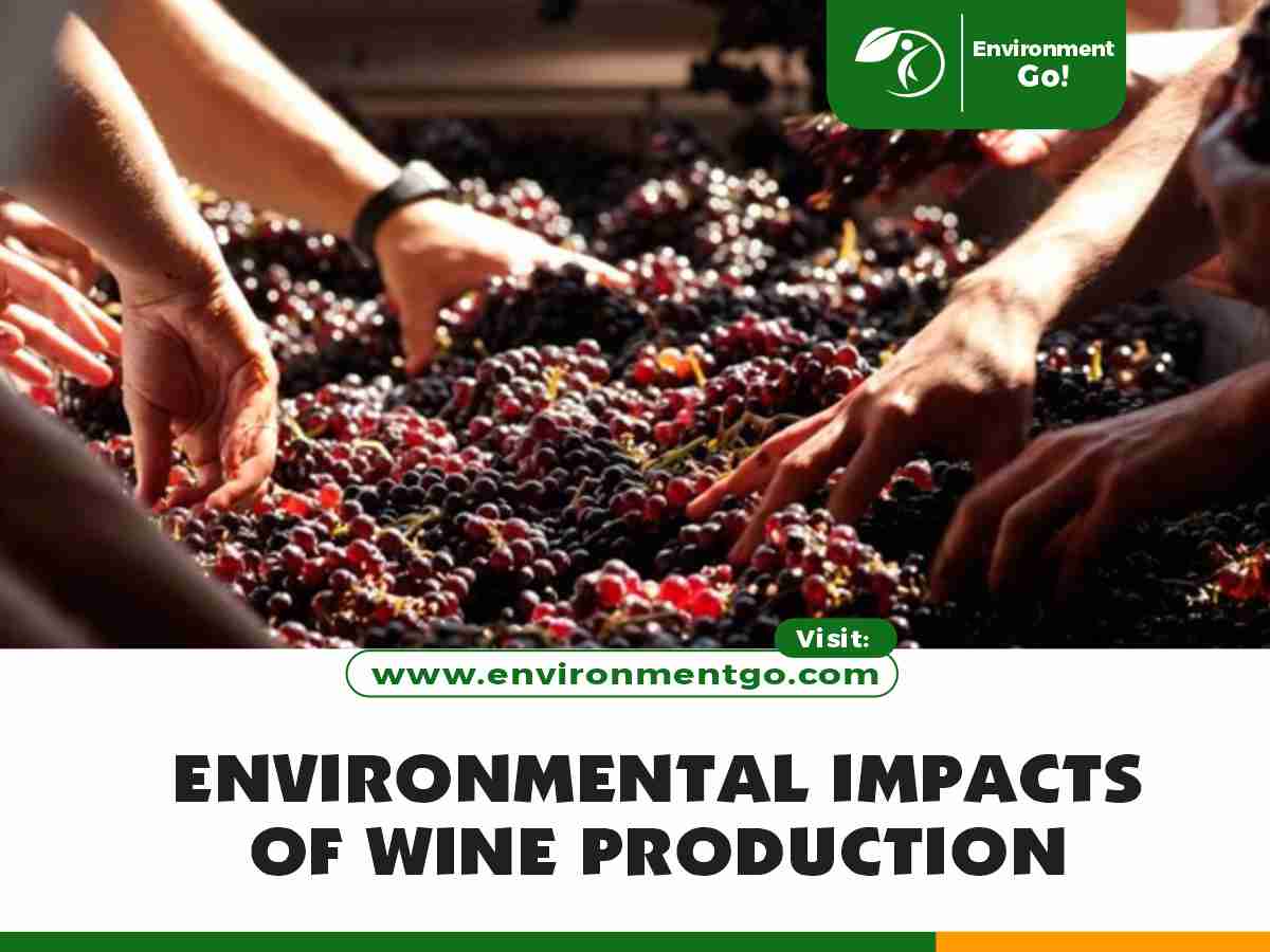 Environmental Impacts of Wine Production