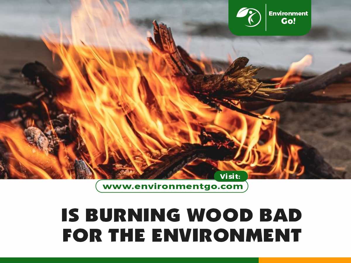 is burning wood bad for the environment