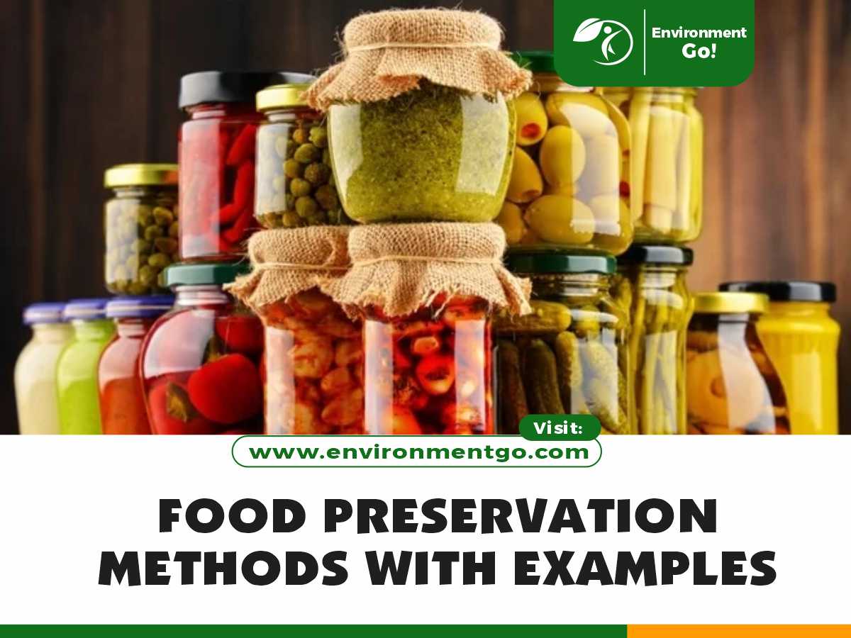 Food Preservation Methods with Examples