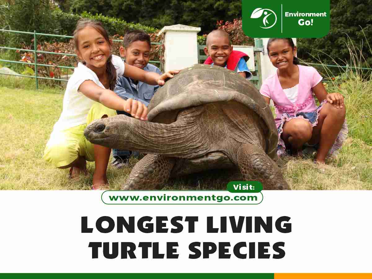 Longest-Living Turtle Species