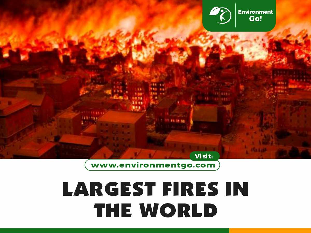 Largest fires in the world