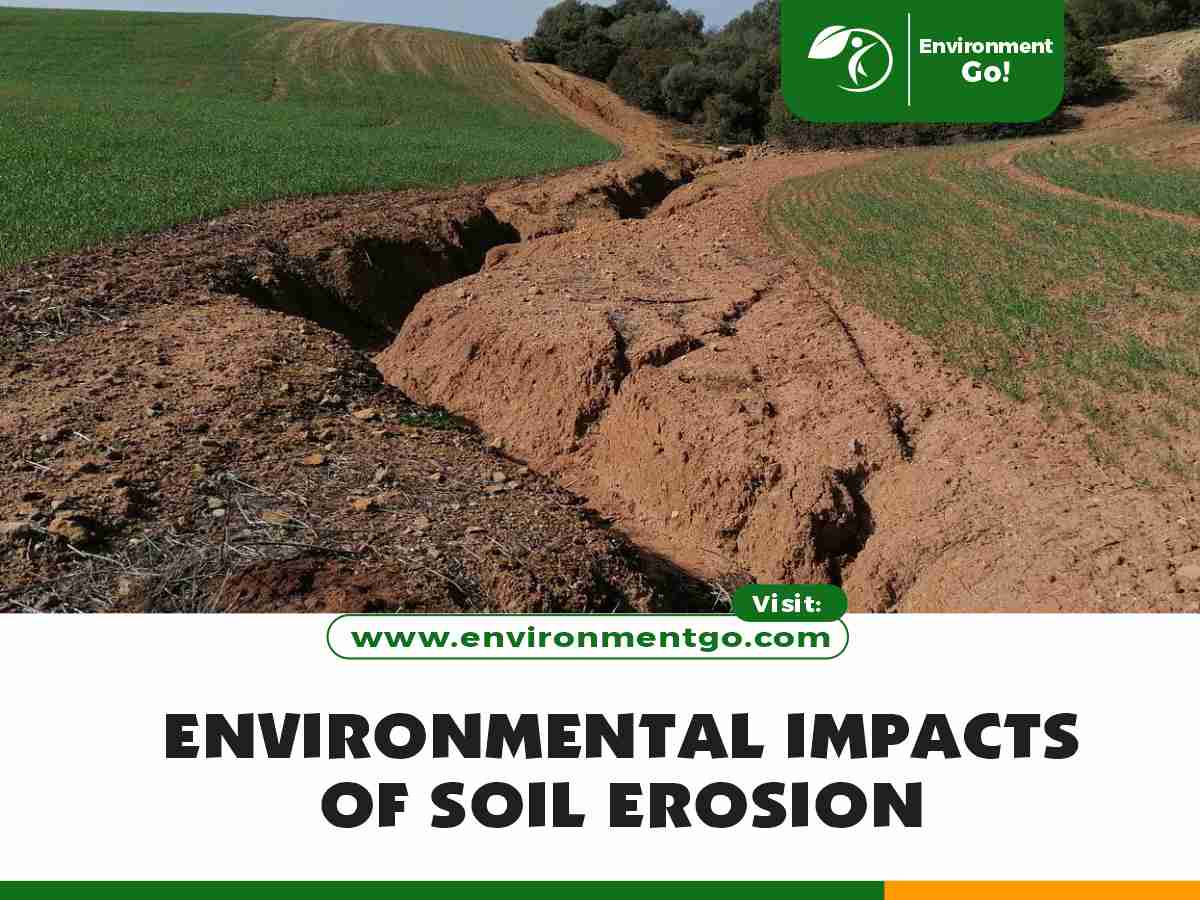 environmental impacts of soil erosion