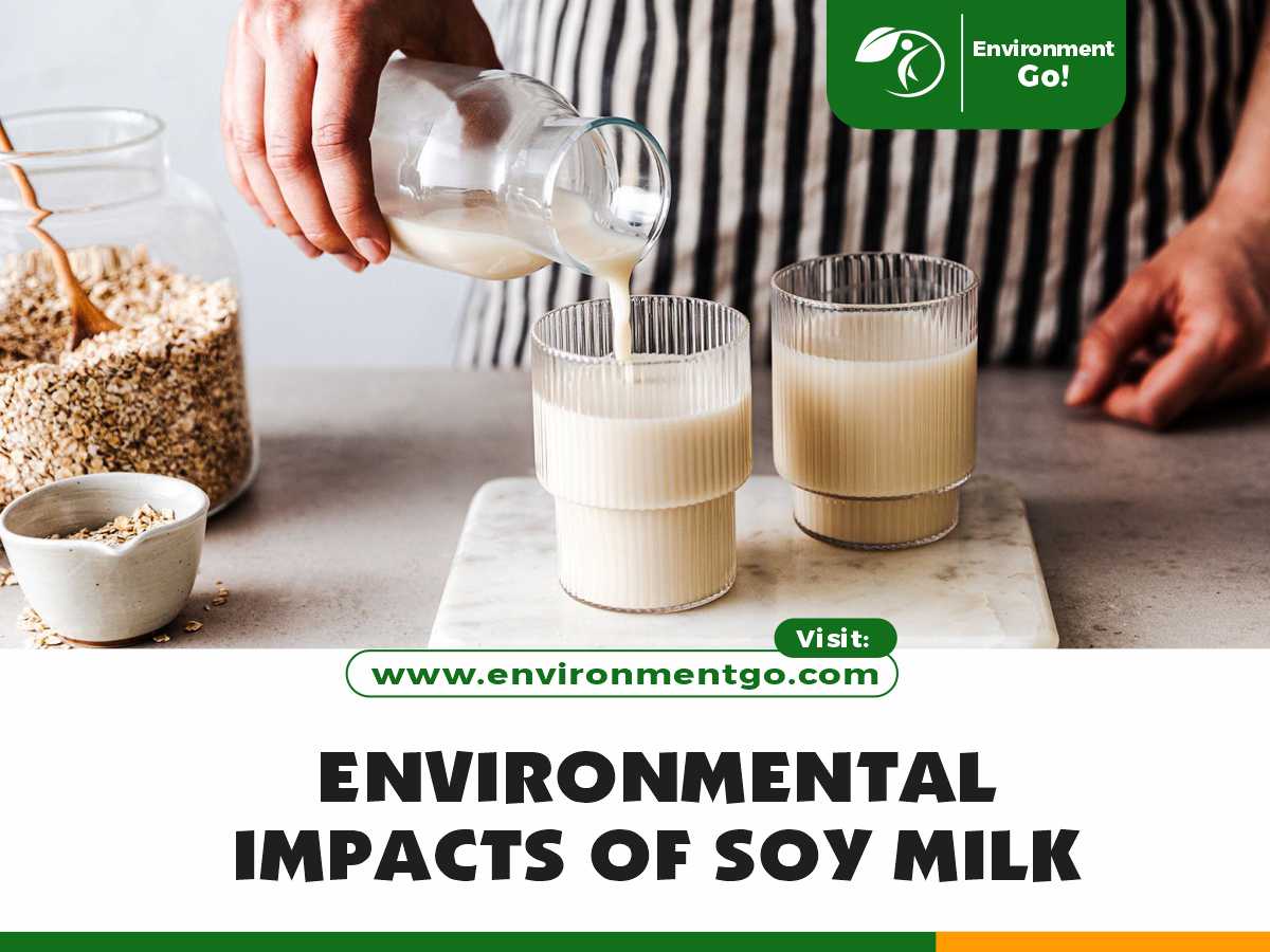 environmental impacts of soy milk