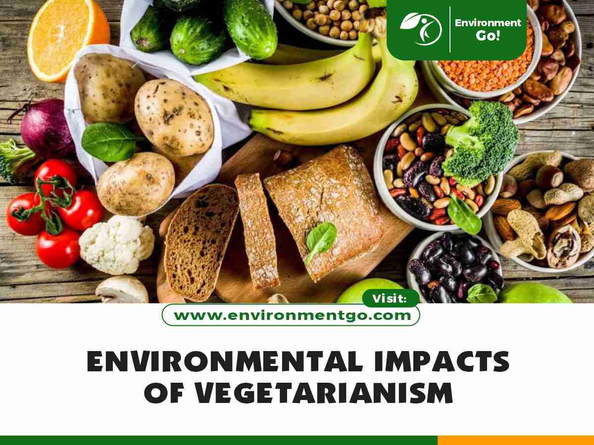 environmental impacts of vegetarianism