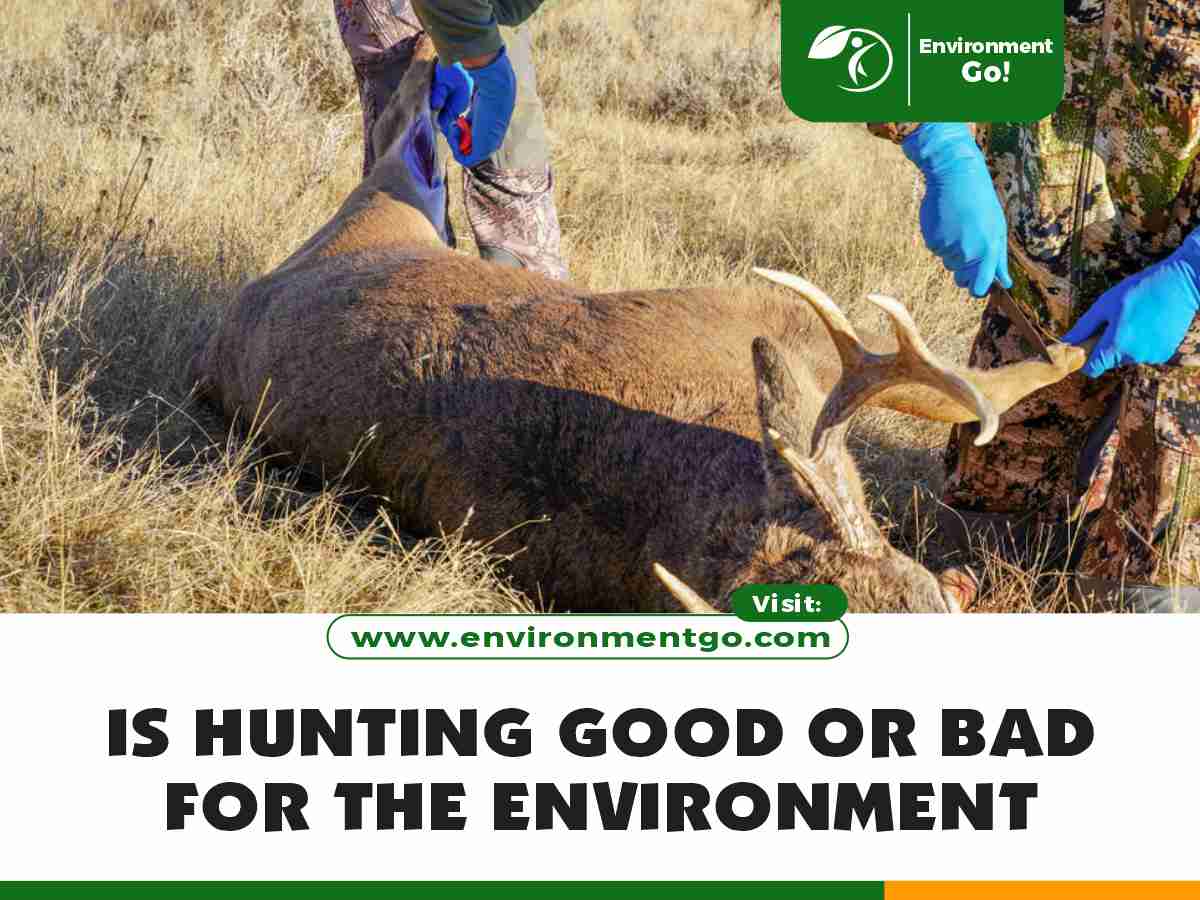 is hunting good or bad for the environment