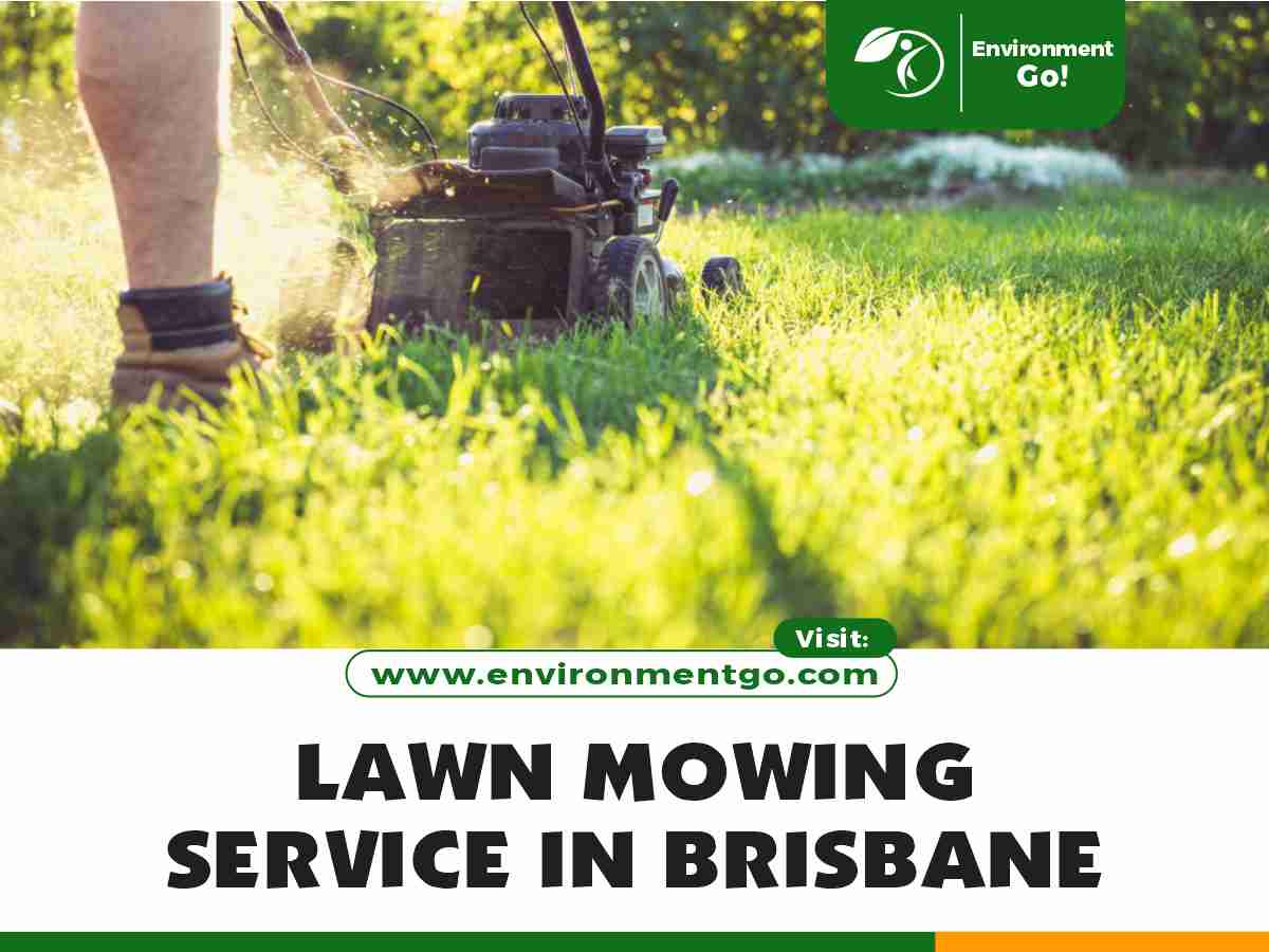 Lawn Mowing Service in Brisbane