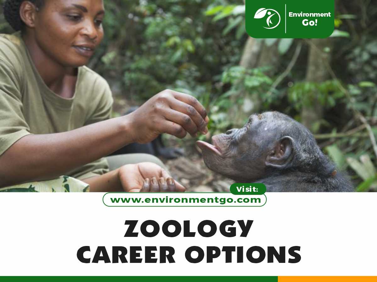 Zoology Career Options