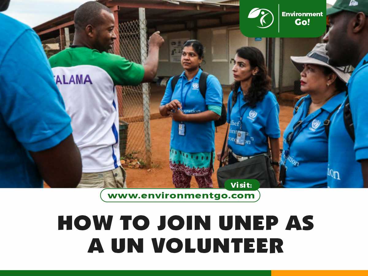 How to Join UNEP as a UN Volunteer