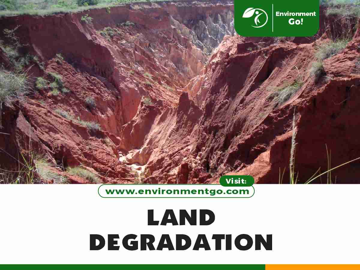 Land Degradation