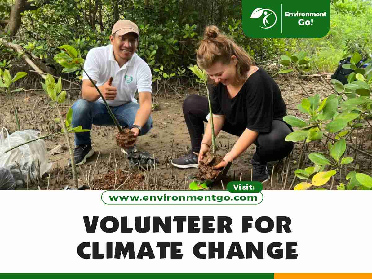 Volunteer for Climate Change